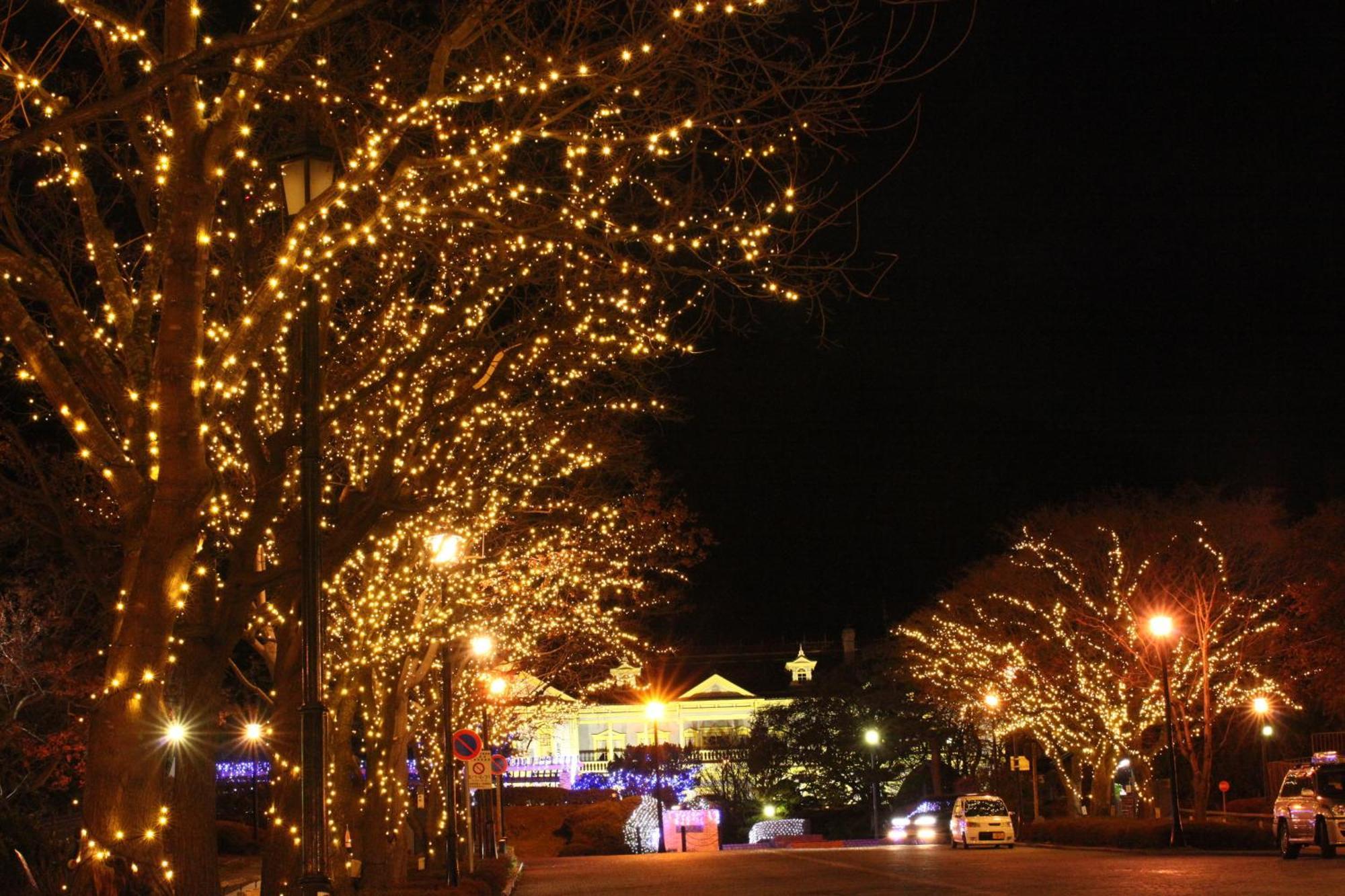 Hakodate Kokusai Hotel Luaran gambar